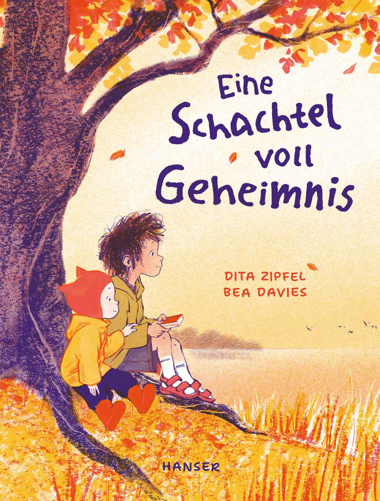 DITA ZIPFEL, BEA DAVIES, EINE SCHACHTEL VOLL GEHEIMNIS
